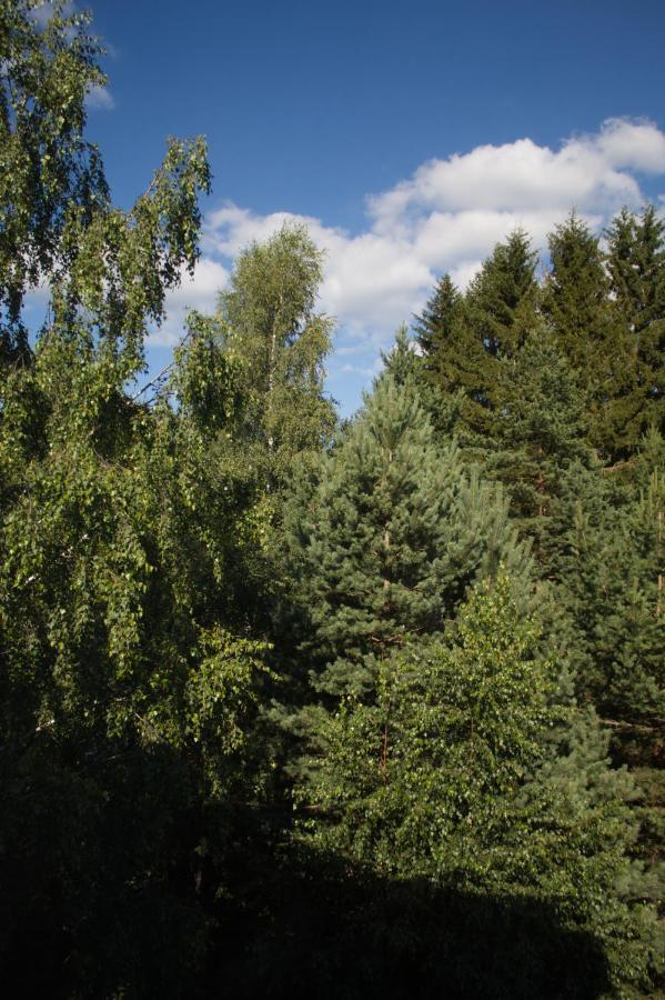 Apartament Attic 7 Kopaonik Zewnętrze zdjęcie